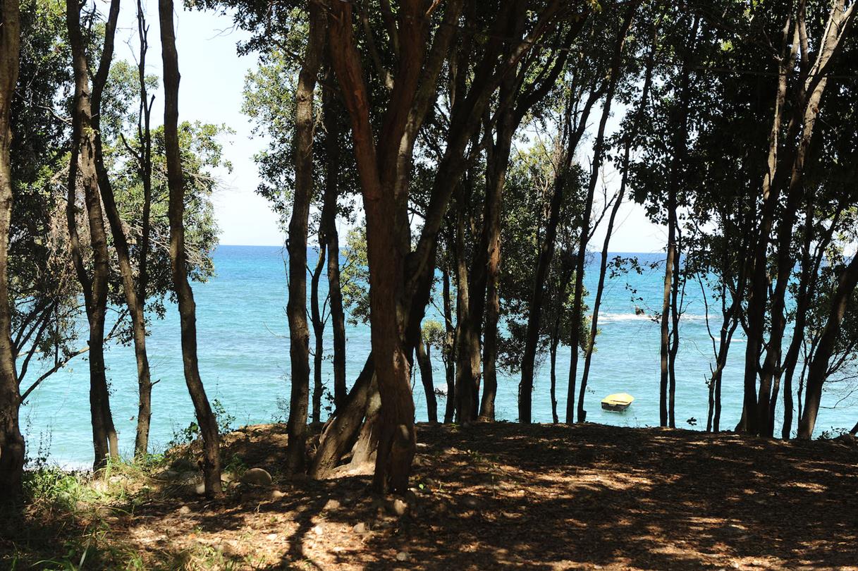 Emplacements bord de mer camping naturiste corse 4 etoiles Corse, Bravone - Domaine de Bagheera