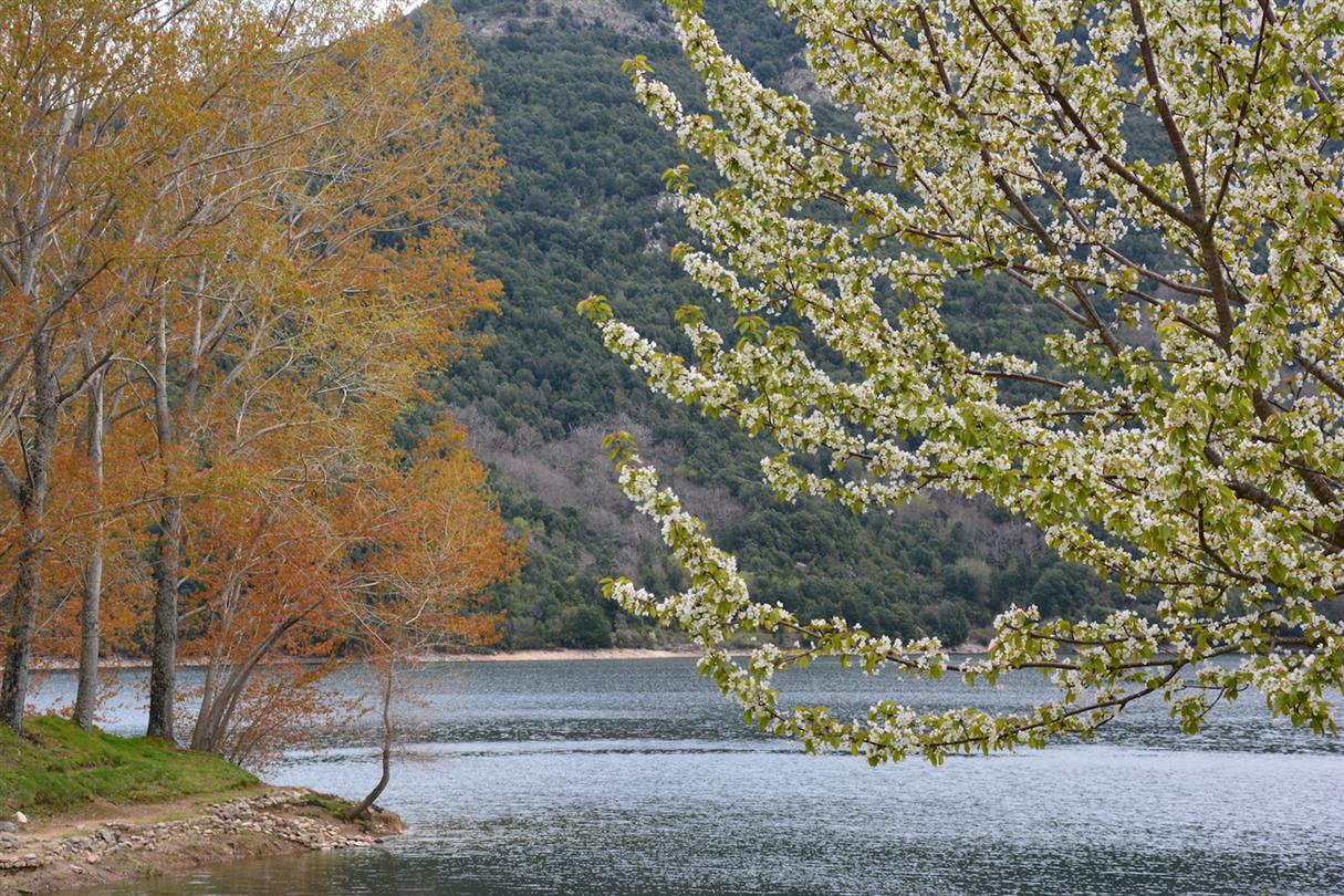 Paysages Corse - Domaine de Bagheera, camping 4 étoiles naturiste bord de mer 