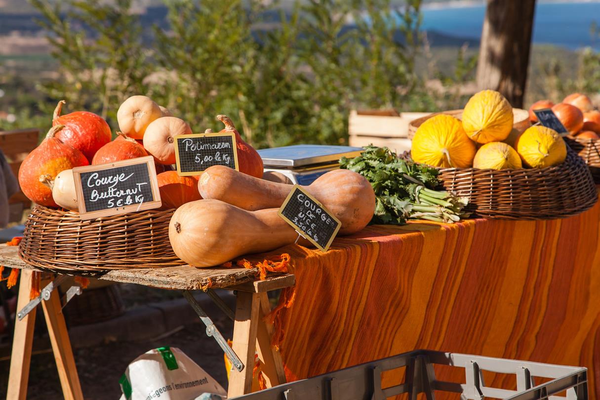 Marchés Corse - Domaine de Bagheera, naturisme corse