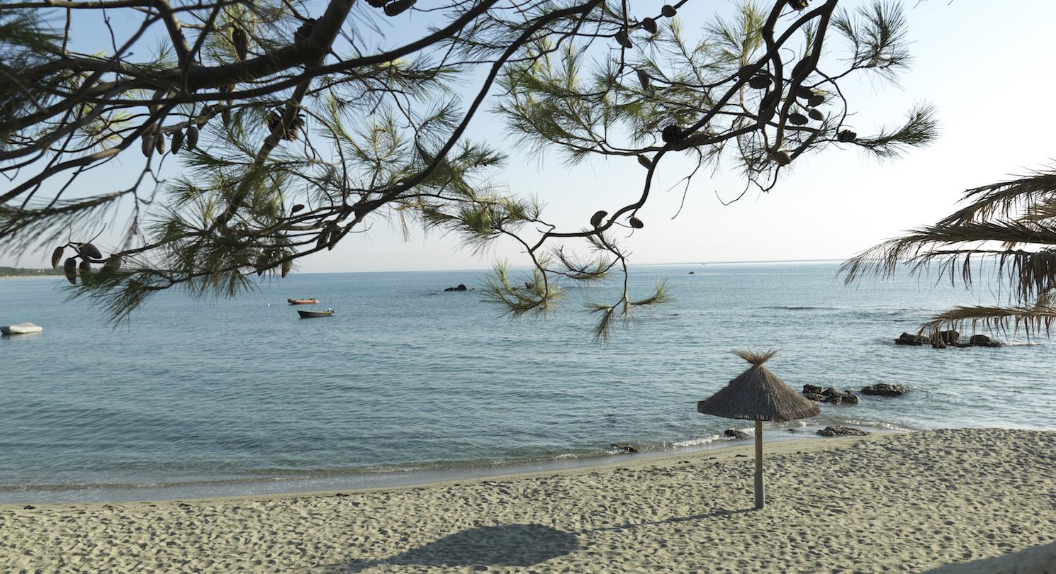 Plage pour nudiste à bravone  - Camping naturiste corse 