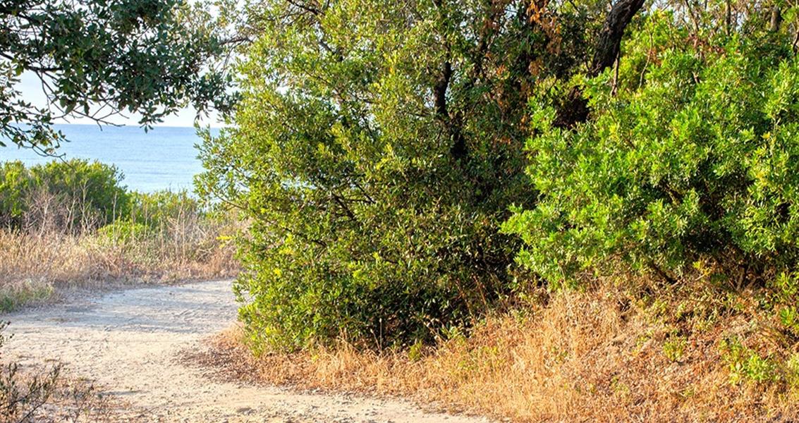 Chemin d'accès à l'étang U Stagnolu - Domaine de Bagheera, camping naturiste corse