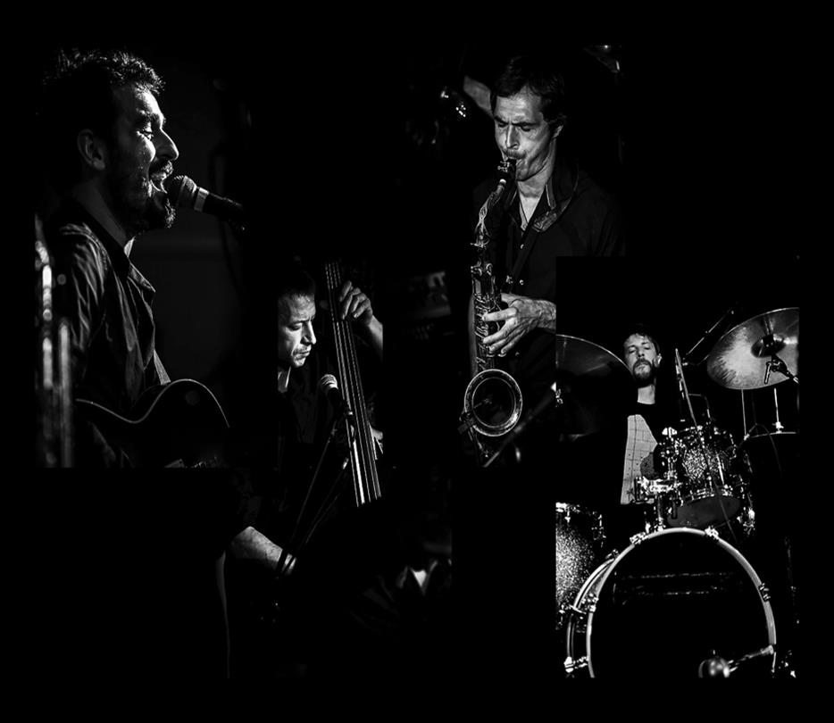 Concert au domaine de Bagheera - vacances naturistes corse