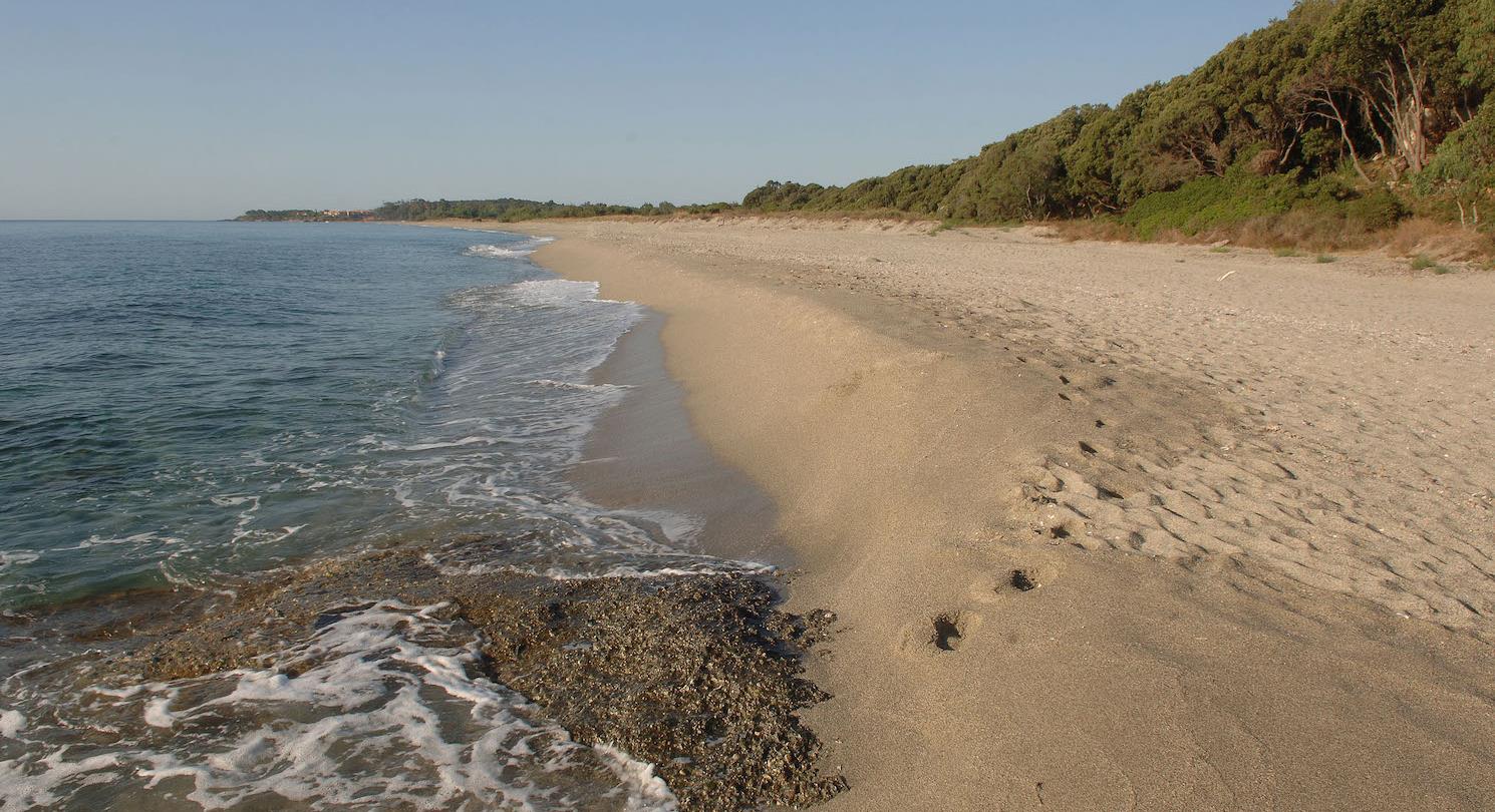 plage de Bagheera - Camping naturiste corse 