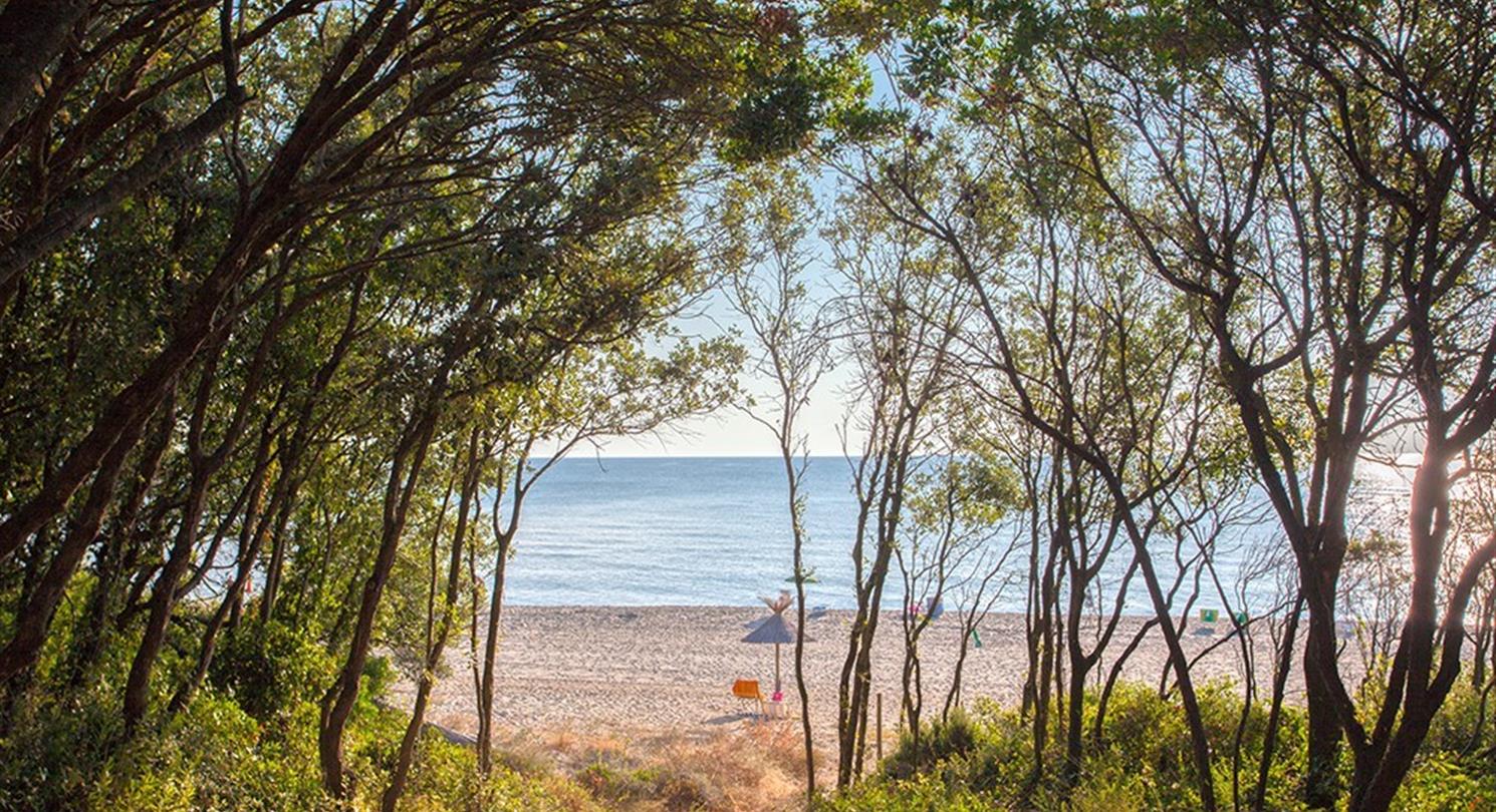 Plage naturiste en Corse - Camping naturiste corse bord de mer 