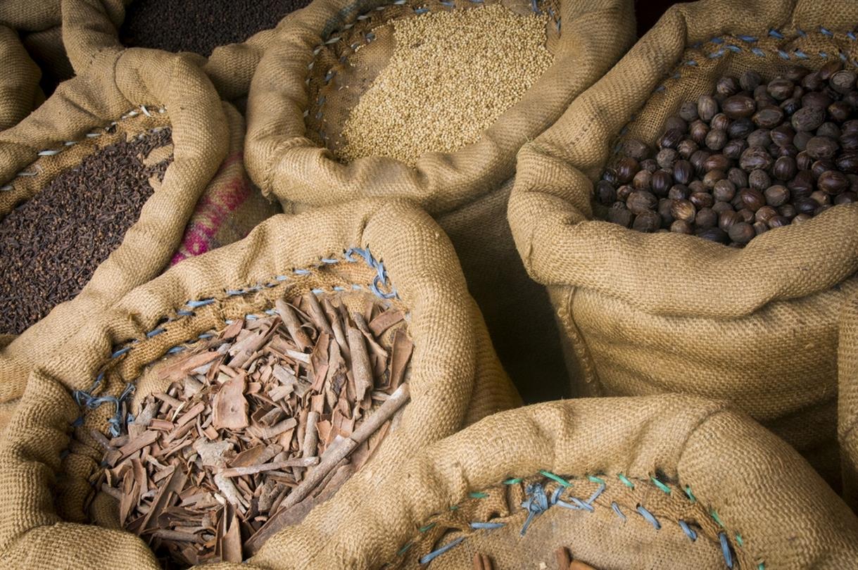Produits du terroir Corse - Domaine de Bagheera, camping et résidence naturiste Corse