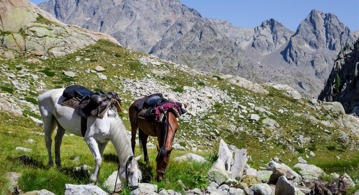 Balades a cheval en Corse - Vacances naturistes Domaine de Bagheera