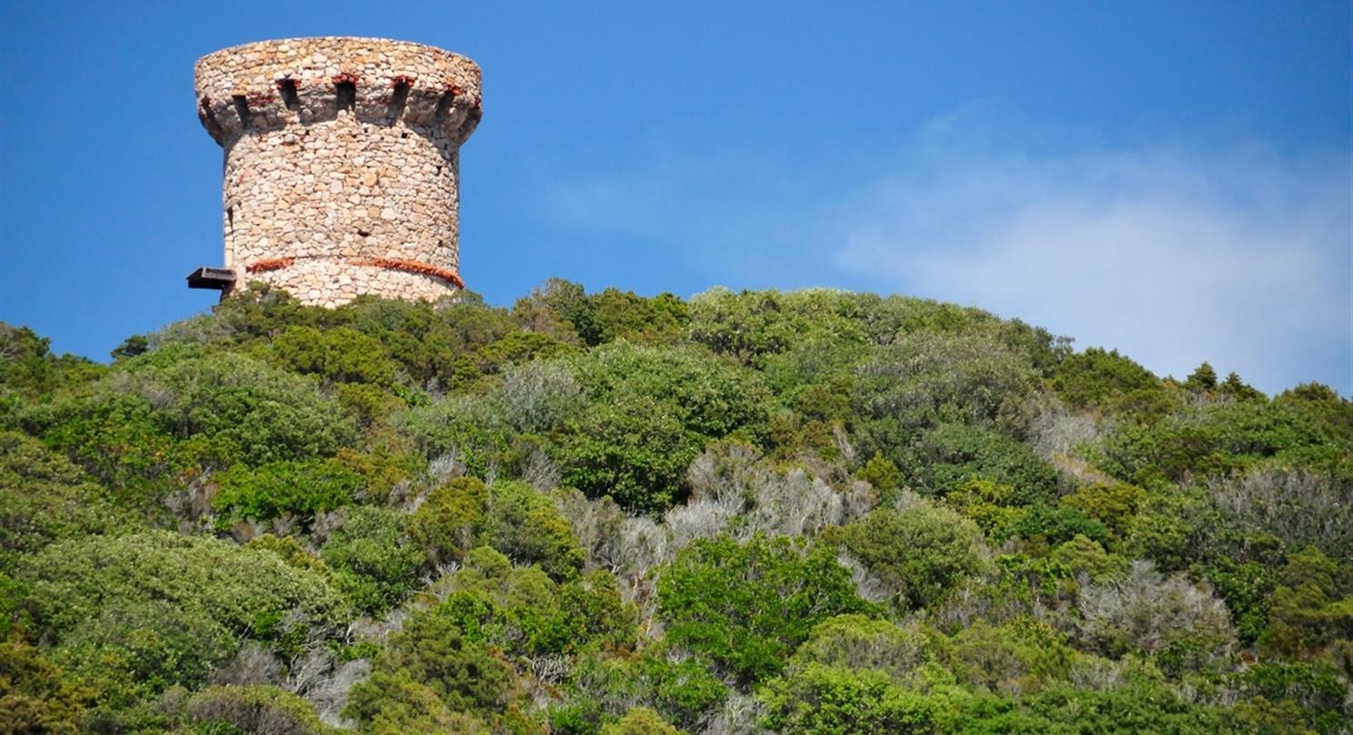 Tour Genoise, Erbalunga en Corse - Domaine de Bagheera, village vacances naturiste Corse