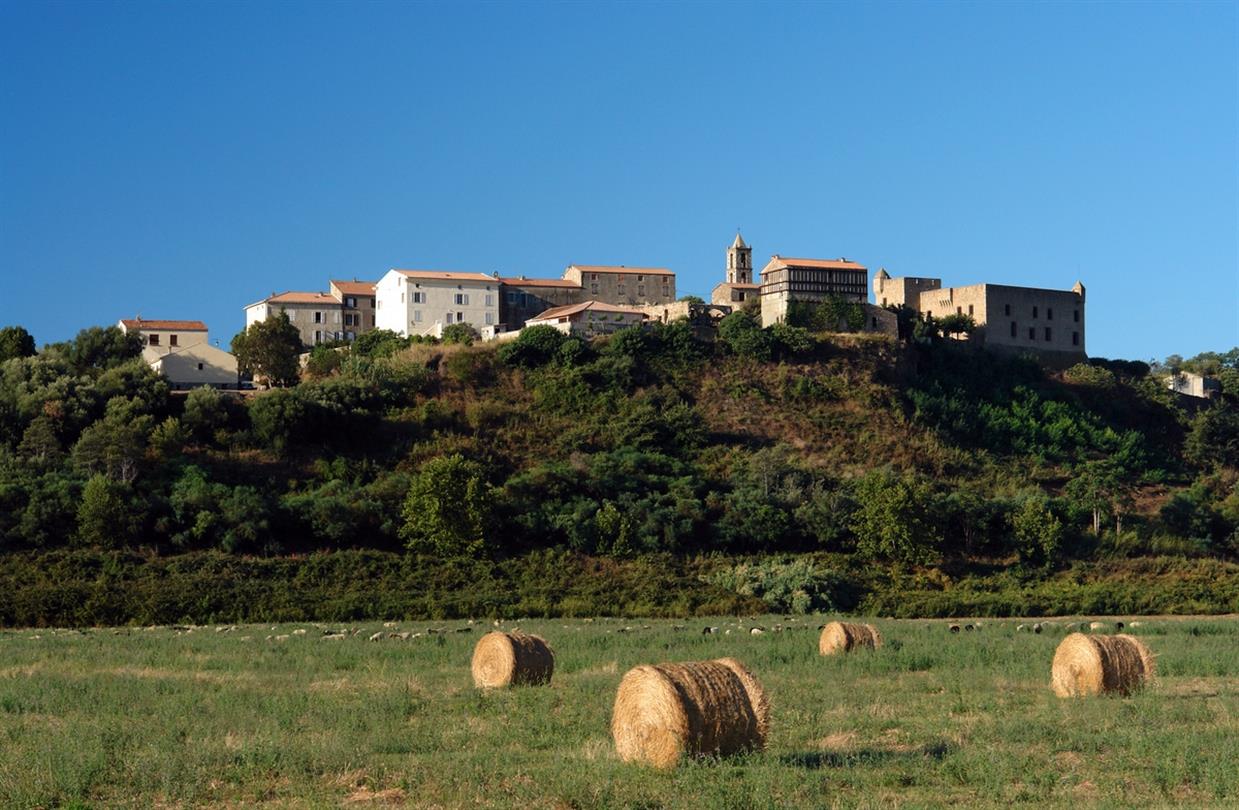 Musee archeologique Aleria - Domaine de Bagheera, camping naturiste Corse