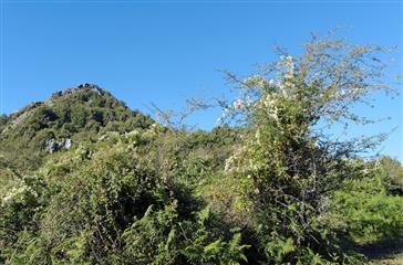 Montagnes et maquis de Costa Verde en Haute Corse - Domaine de Bagheera