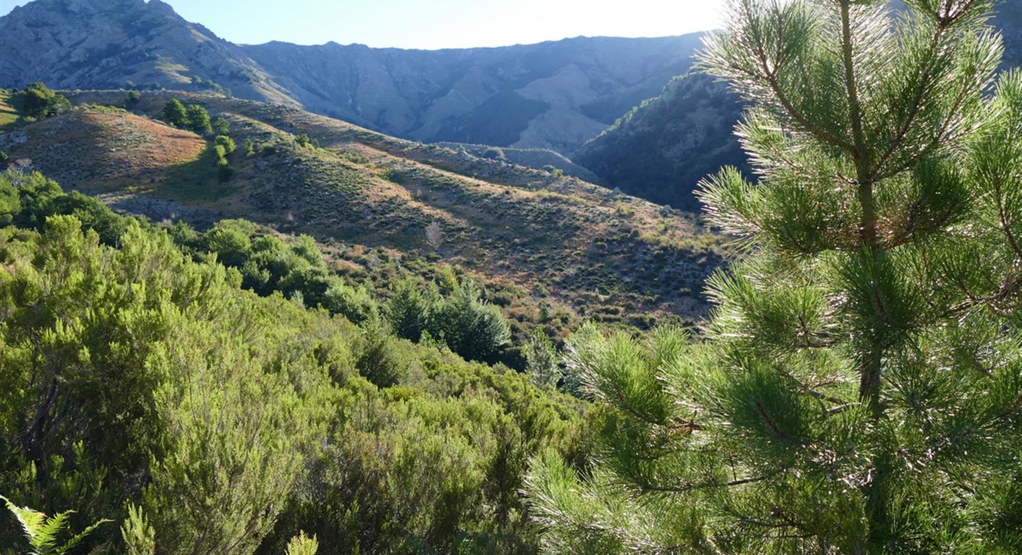 Lever du soleil sur le maquis de la montagne Corse - camping naturiste corse