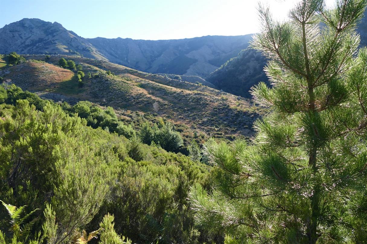 Lever du soleil sur le maquis de la montagne Corse - camping naturiste corse