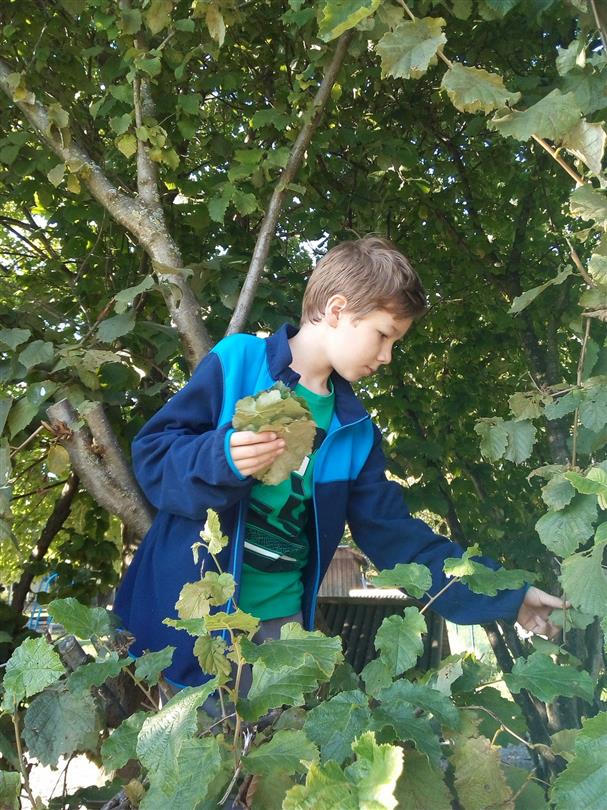 loisirs pour les enfants - Bagheera, camping naturiste corse vue mer  
