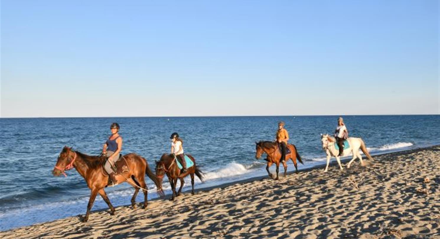 Ballade a cheval sur la long plage de sable fin