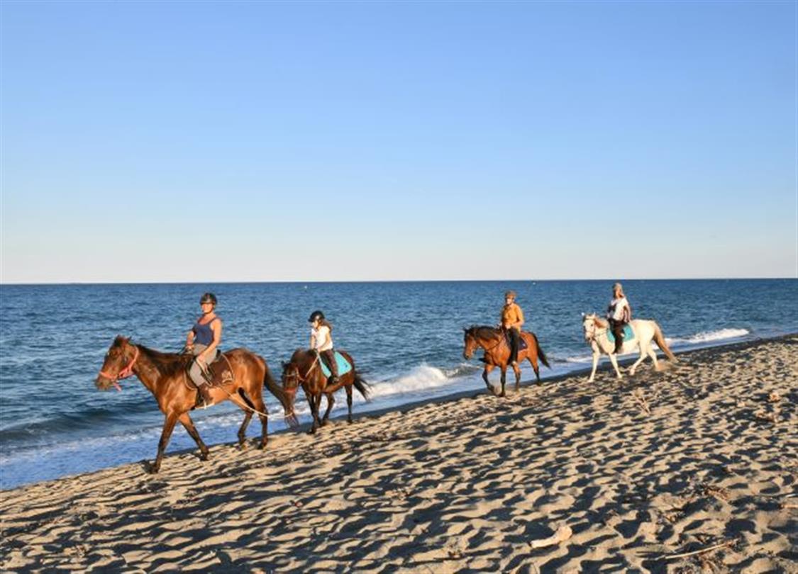 Ballade a cheval sur la long plage de sable fin