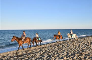 Ballade a cheval sur la long plage de sable fin